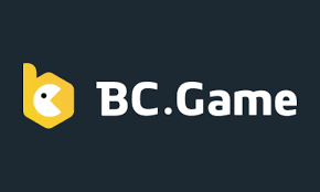 Explore the Exciting Features of the App BC.Game Sk